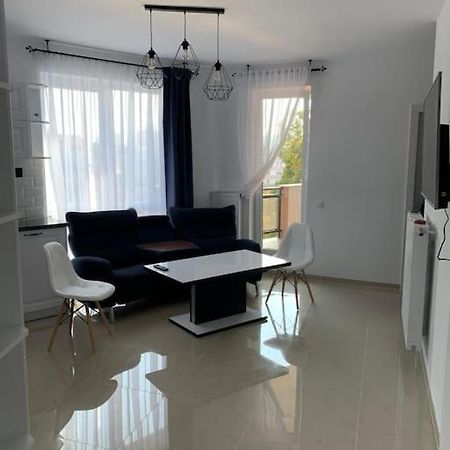 Cozy Apartment In The Center Of 克卢日-纳波卡 外观 照片