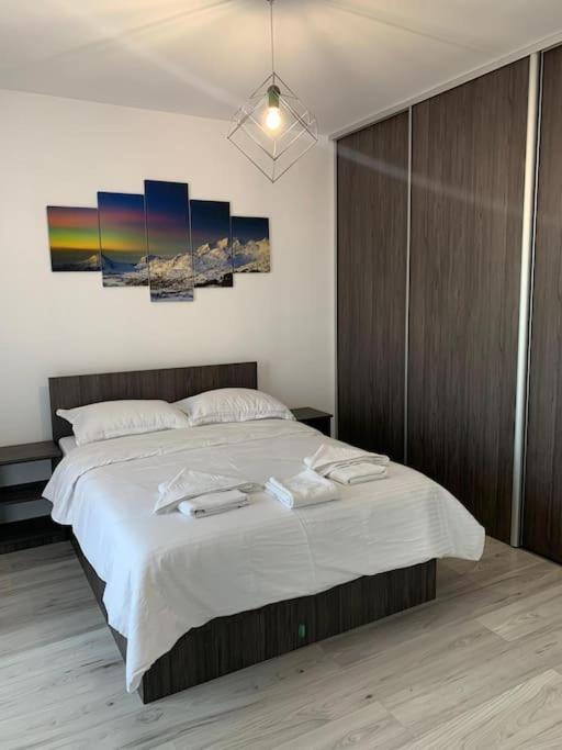Cozy Apartment In The Center Of 克卢日-纳波卡 外观 照片